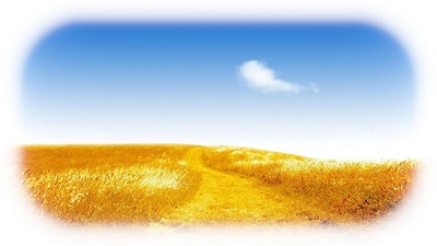 Сочинение: Стихотворение М. Ю.Лермонтова Когда волнуется желтеющая нива... Восприятие, истолкование, оценка